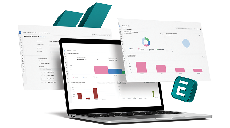 ERPNext Dashboard Interface